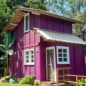 violeta-aquarela-bombinhas.santa-catarina-brasil.com/